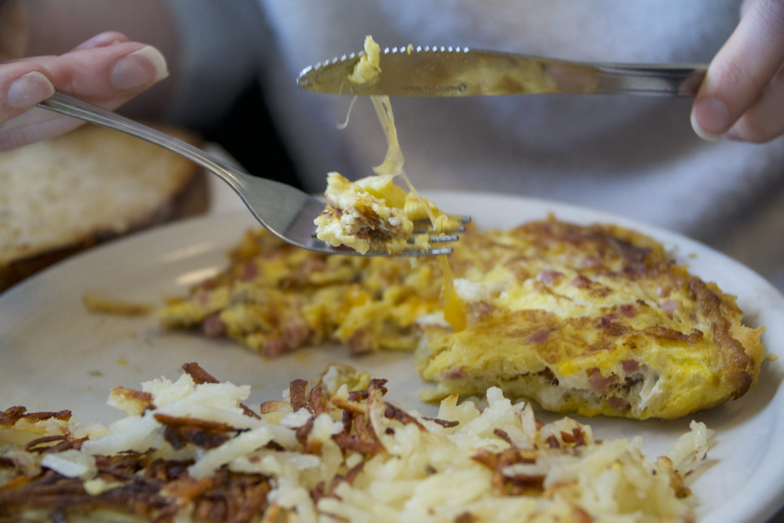 Omlet